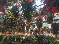 񂳂̓@Ԃ߂ւ̓eʐ^1