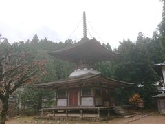 高野山　東塔　エッチング 塔屋タラップ（安全ガード付）SK-832N-2G,SK-832-2SF,SK-832-2AF