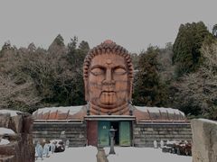 �䂩�肳��̃n�j�x�ތA�@�ւ̓��e�ʐ^1