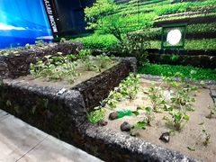 Ђ낳̈ɓ킳у~[WAւ̓eʐ^1