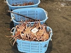 �Z������̂ւ̓��e�ʐ^2