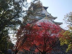 りゅうさんの大阪城天守閣への投稿写真1