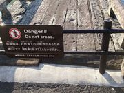 �E�b�L�[����̋_�����̓��e�ʐ^1