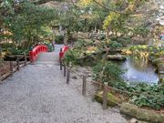 EbL[̖{nzK_Ђ̓eʐ^1