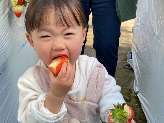 �Â��Ĕ��������˂�_SEN's Berry Farm