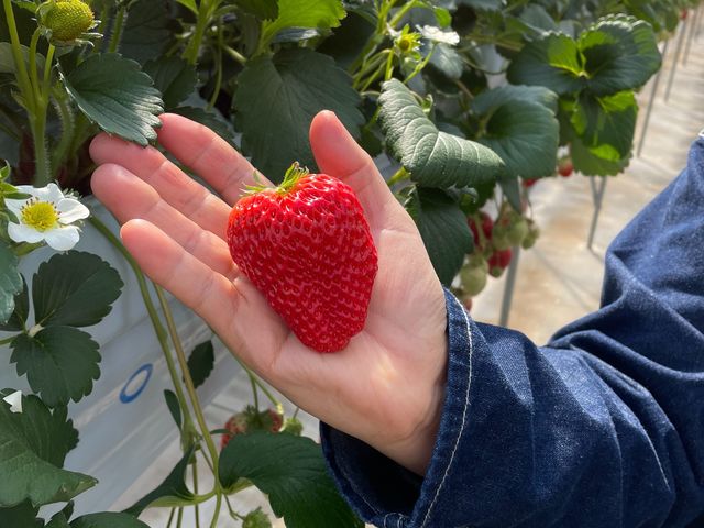 �������Ȋ��n������_�i�`��������