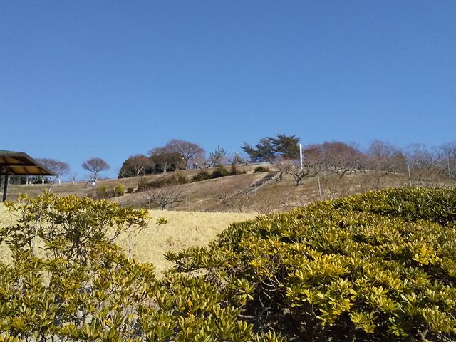 �{���͔~�̉Ԃ͂܂��܂��炢�Ă��܂���ł����B_�݂Ƃ�t���[�c�p�[�N