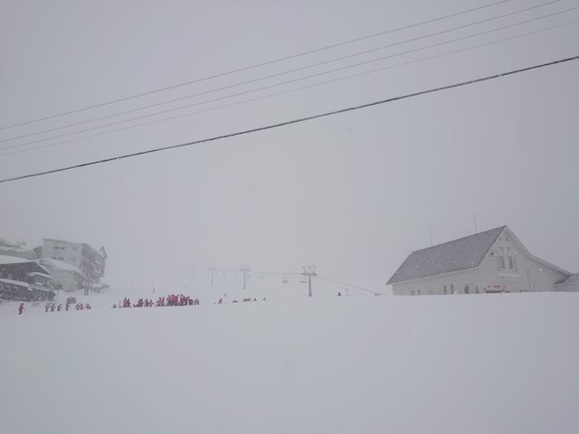 �Ⴊ�����ƍ~�葱���Ă��܂������A���p�q�͑��������ł��B_�⌴�X�L�[��