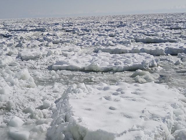 yޕɒm̎RX_ԑXόӕXD[