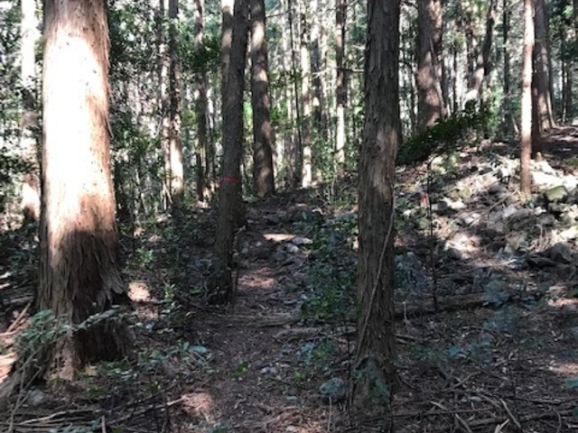 sN͎̈鏊ɂAoR͖܂B_{{R