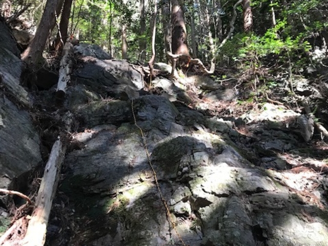 ̑̃[vBo͈ӊOƊȒPłB_{{R