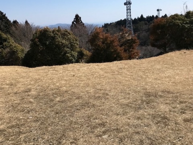 ̑̏ŁAFlƑƂ킢킢oyłˁB_{{R