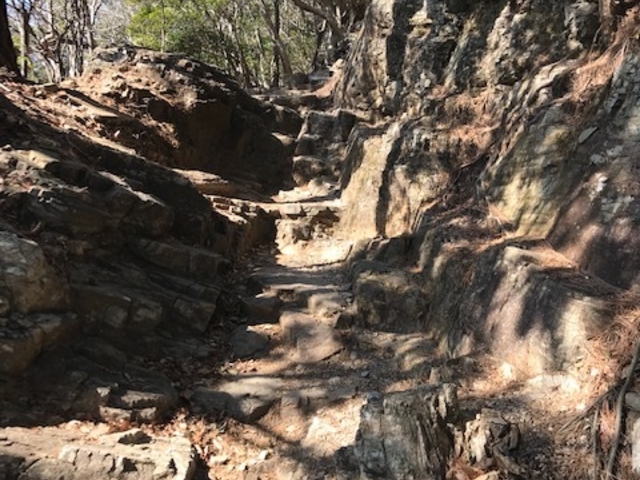 \Quv܂̂ŁAf͋֕B_{{R