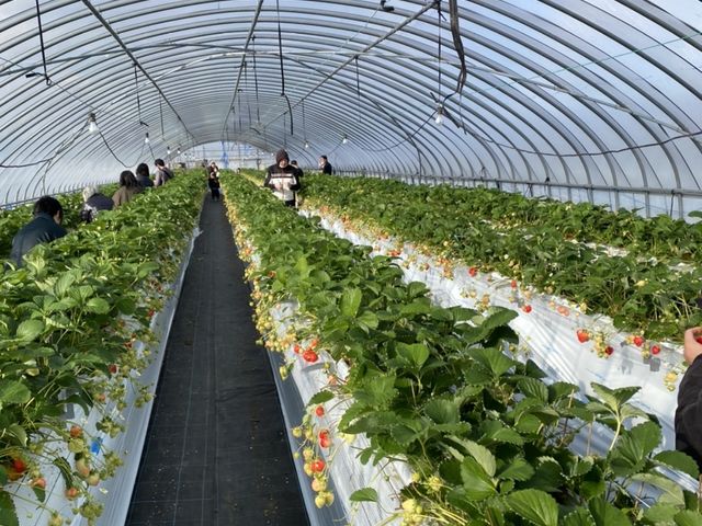 ��������̂��܂���_itoBEE�t�@�[��