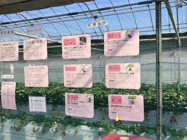 䕂̕i��ꗗ�ł��B_�z���e�B�L��