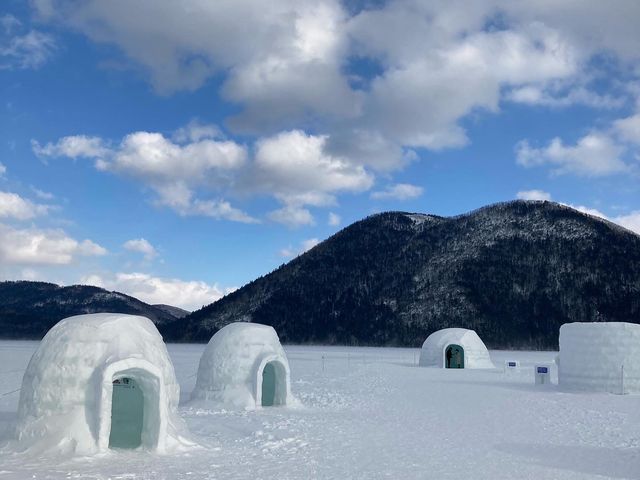 �R�^���̃C�O���[_�R�ʌ΃l�C�`���[�Z���^�[