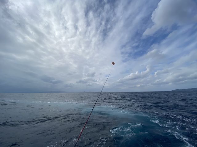 ���ł͒f��ꂽ�����̒���΂��Ă���܂����i�D������̘r�̗ǂ��炵���ł��v_Parasailing NOA