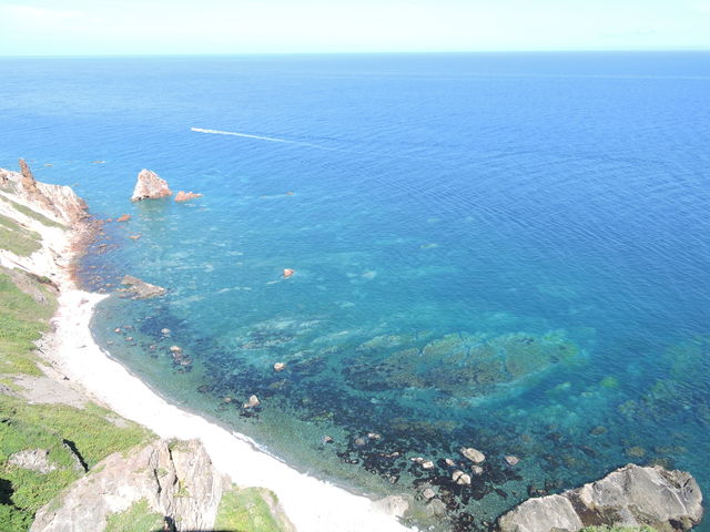 Ms@zemCVXM@̊ቺɊC_zemCVXM