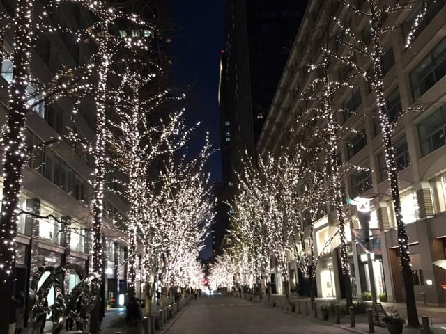 �ۂ̓��o�X��̂��������B�o�X���猩���܂��B_2�K���ăI�[�v���o�X�w�X�J�C�o�X�x�E�������p�o�X�w�X�J�C�_�b�N�x