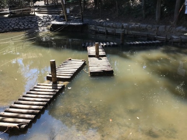 ���̗V��Ŋ�Ȃ����ɗ��������܂����B�`�������W����ꍇ�͒��ӁB_�l�k�X�уA�X���`�b�N