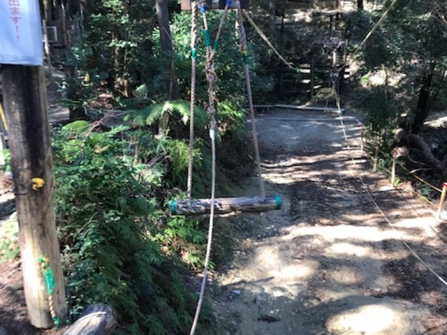 �󒆃u�����R�B�����͖����ł����B_�l�k�X�уA�X���`�b�N