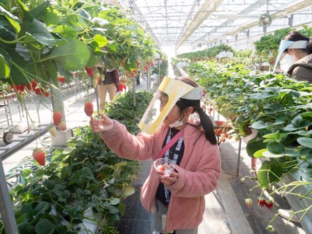 �L�X�����n�E�X���œy�j���ł����G�������S���ĐH�ׂ��܂����B_�x�ÃA�N�A�t�@�[��