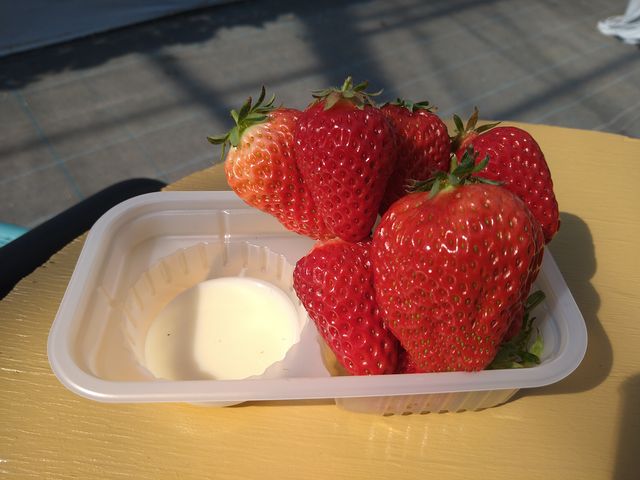 �C�`�S_Angelina berrys farm