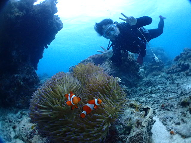 �j����2�V���b�g(^-^)v_�V�[�W���b�N�_�C�u�t�@�~���[