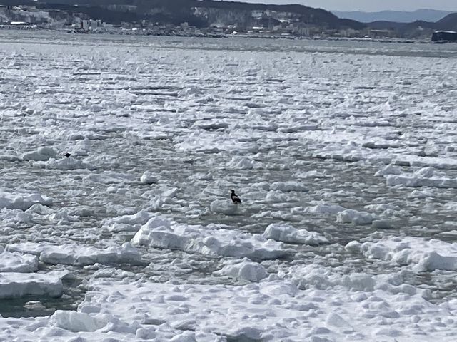 XƓVRLOIIV_ԑXόӕXD[