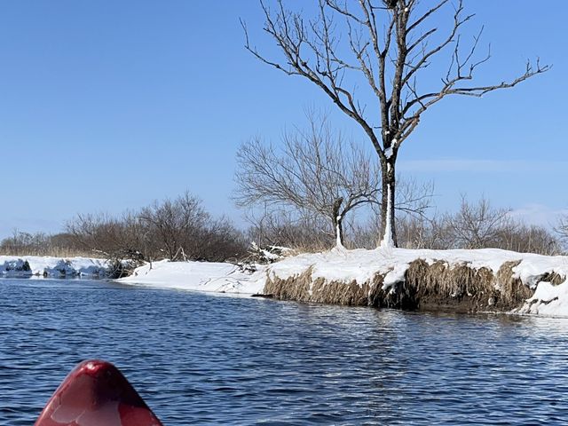 �I�I���V�����I_���C�N�T�C�h�Ƃ���