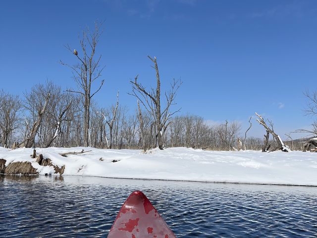 ������̓I�W�����V�ł��傤���c_���C�N�T�C�h�Ƃ���