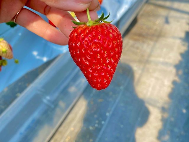 �^���ԂȂ�����_��������farm