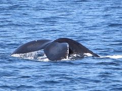 JGHappyIslandւ̓eʐ^1