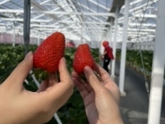 ݂񂳂̃qt@[ւ̓eʐ^1