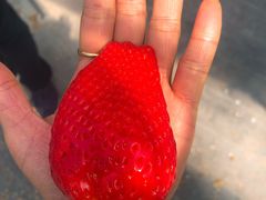 tomomi̕όAOXl΂ւ̓eʐ^1