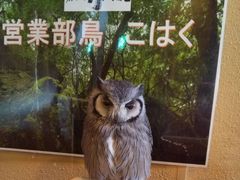 ~iR̓̕HAZUւ̓eʐ^1