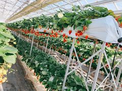 haru����̕x�ÃA�N�A�t�@�[���ւ̓��e�ʐ^1