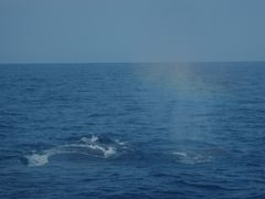 yukkiNEWSߔeXւ̓eʐ^1