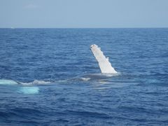 yukkiNEWSߔeXւ̓eʐ^2