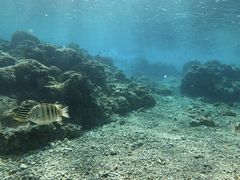 񂳂S.E.P.}Nuւ̓eʐ^1