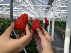 ݂񂳂̃qt@[ւ̓eʐ^1