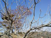 낿񂳂݂̂Ƃt[cp[N̓eʐ^1