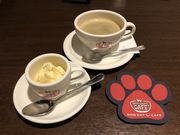 [t̃hbOfvgEK[fy̓eʐ^1