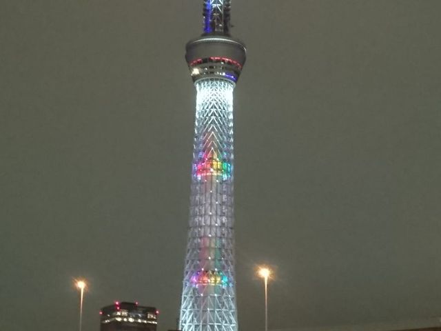 �X�J�C�c���[_���`�D���C��