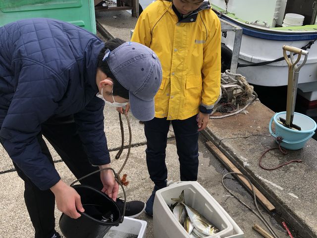 ���ƎI_��D�[��