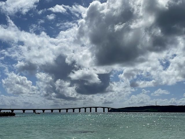 �O�l�r�[�`���痈�ԓ��Ɍ����ĎB�����ꖇ�ł��I_Cheerful �{�Ó�