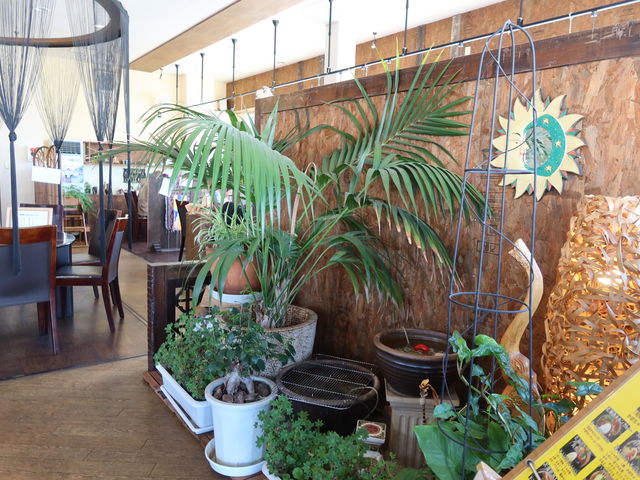 X͖邢͋C_ChX[vJ[V c{X