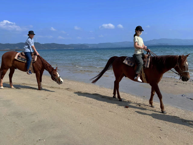 ����|���炸�M���M���̂Ƃ��������Ă���܂����B_�V�[�r���[�����`