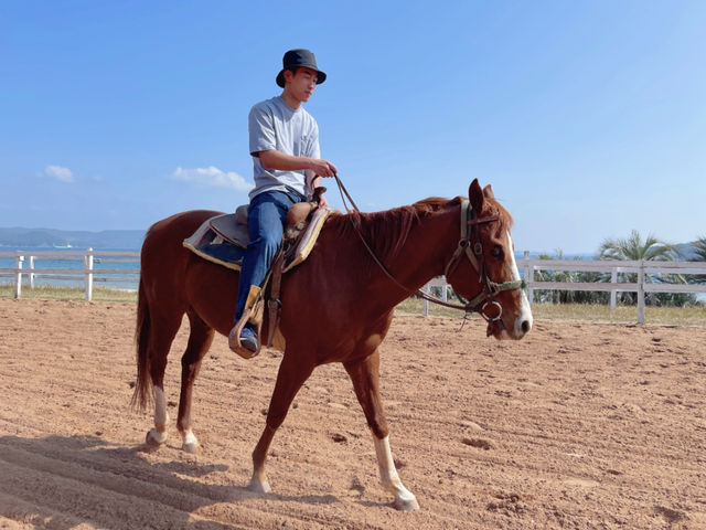 ����ŕ�������삯��������A�Ȃ�������~�܂�����Ƃ�������{����K�ł��܂��B�ƂĂ��y�����ł��H_�V�[�r���[�����`