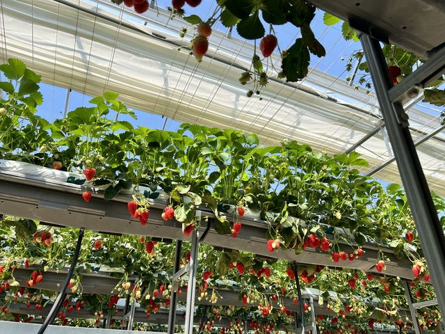 ����������������_�݂̂�_��